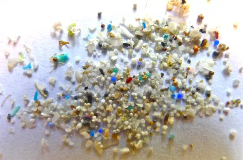 Microplastics in marine environment