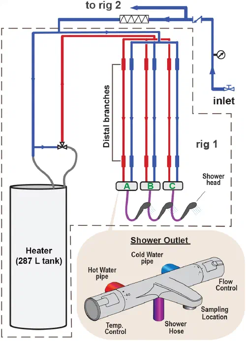 Conceptual schematic of a pilot plumbing system with two parallel rigs feeding shower outlets