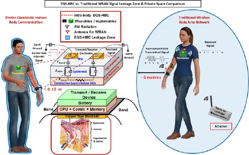 Schematic from the EQS-HBC paper showing signal containment around the human body