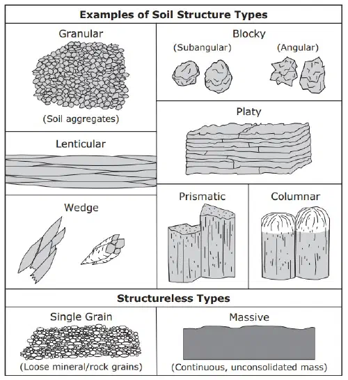 Examples of Soil Structure Types