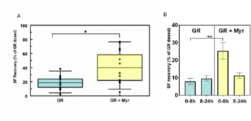 Human sulforaphane recovery with and without mustard myrosinase