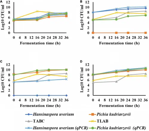 Line graphs showing yeast population growth during spontaneous versus inoculated coffee fermentation