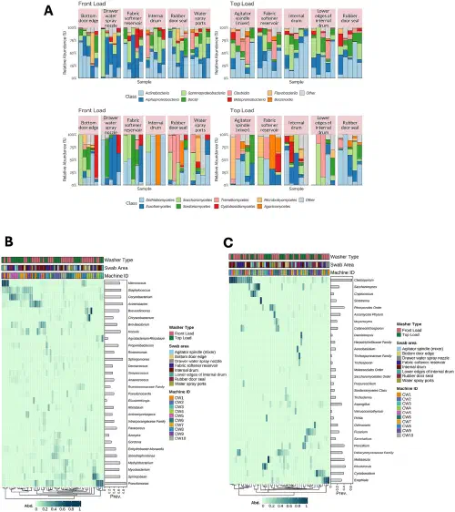 Bar charts and heatmaps showing the relative abundance of bacterial and fungal groups across different parts of front-load and top-load washing machines